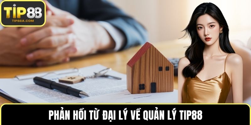 Phản hồi từ đại lý về quản lý TIP88